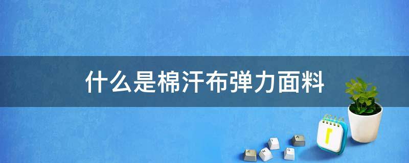 什么是棉汗布弹力面料 纯棉汗布有弹力吗