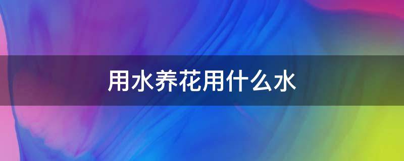 用水养花用什么水 用水养有什么花能用水养的