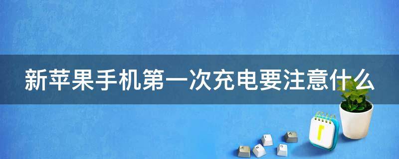 新苹果手机第一次充电要注意什么 新苹果手机第一次充电需要注意什么