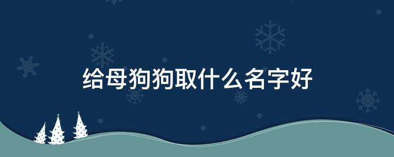 给母狗狗取什么名字好（给母狗狗取什么名字好呢）