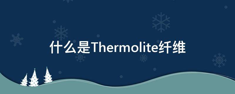 什么是Thermolite纤维 thermolite保暖纤维多少