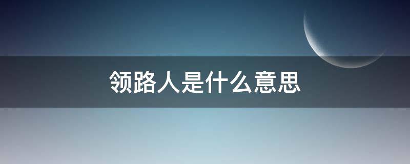 领路人是什么意思 领路人是什么意思啊