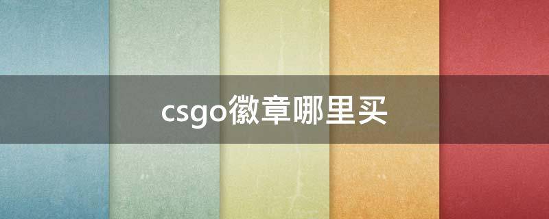 csgo徽章哪里买（csgo纯正徽章哪里买）