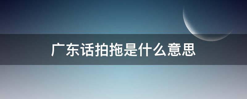 广东话拍拖是什么意思（广东的拍拖是什么意思）