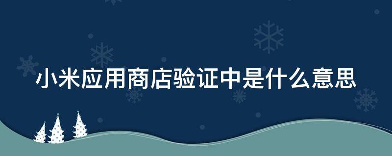 小米应用商店验证中是什么意思（小米应用商店验证中是什么意思啊）