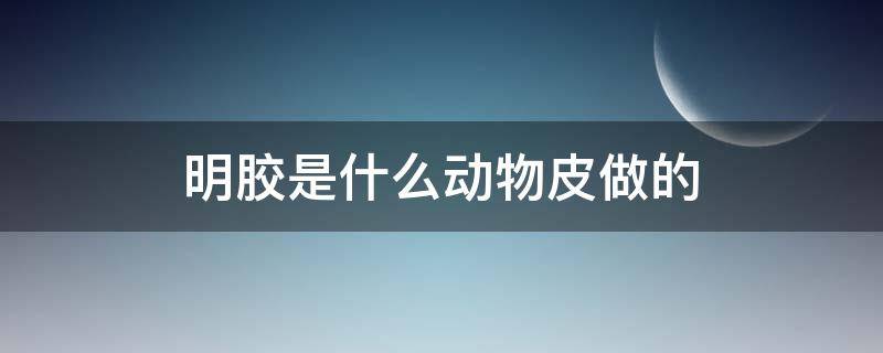 明胶是什么动物皮做的 食明胶是用 什么皮做的什么做成的