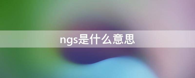 ngs是什么意思（leggings是什么意思）