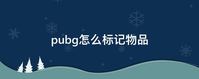 pubg怎么标记物品 pubg怎么标记物品给队友