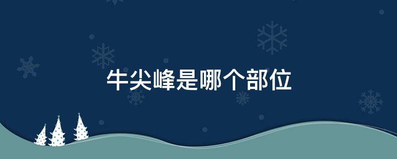 牛尖峰是哪个部位 牛尖峰部位图