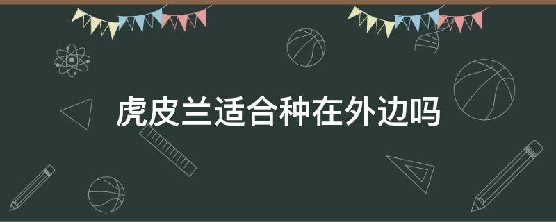 虎皮兰适合种在外边吗 虎皮兰能种在外面的地上吗