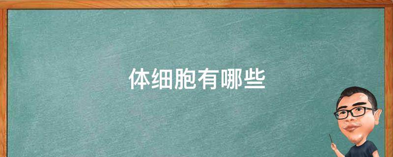 体细胞有哪些 胰岛素的受体细胞有哪些