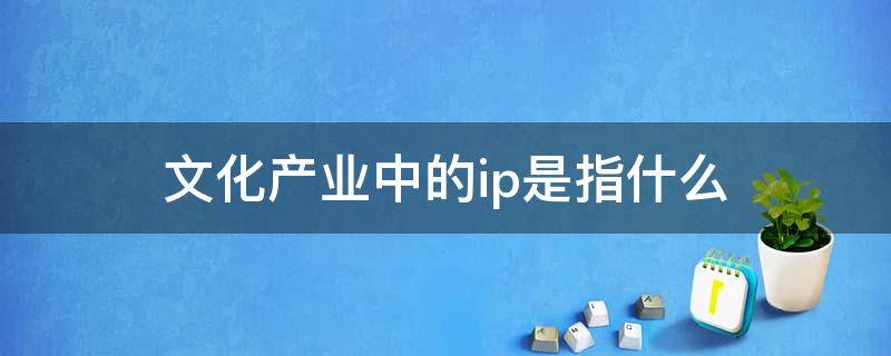 文化产业中的ip是指什么（文化ip产品是什么意思）