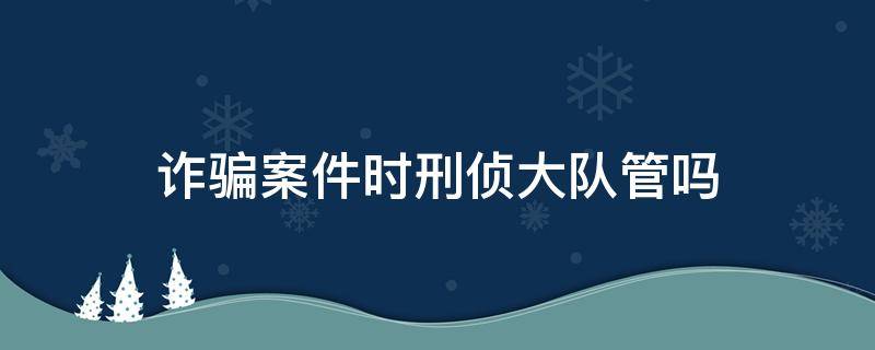 诈骗案件时刑侦大队管吗（诈骗由刑侦还是经侦大队立案）