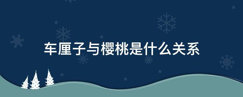 车厘子与樱桃是什么关系 车厘子和樱桃的关系