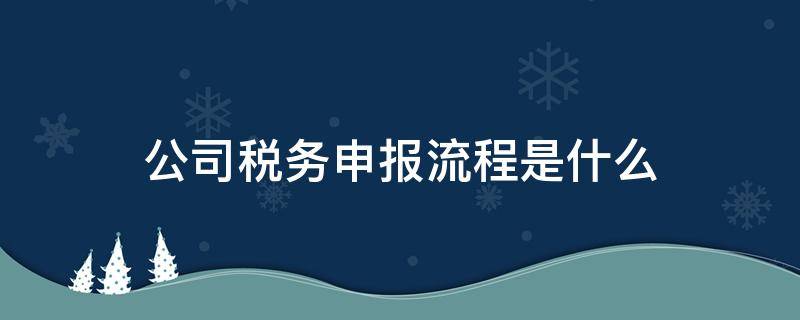 公司税务申报流程是什么 公司申报纳税的流程