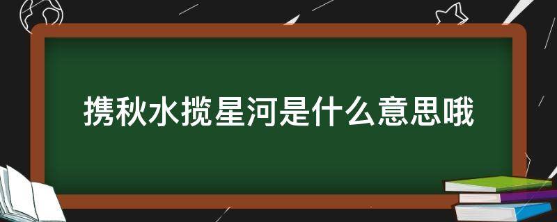 携秋水揽星河是什么意思哦（你携秋水揽星河出自哪首诗）