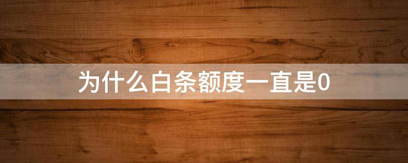 为什么白条额度一直是0 为什么白条额度一直是100