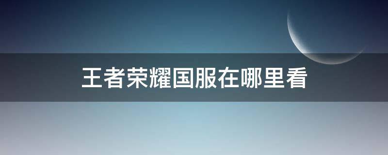 王者荣耀国服在哪里看 王者荣耀国服在那里看