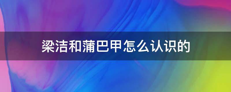 梁洁和蒲巴甲怎么认识的 梁洁和蒲巴甲从什么时候开始认识