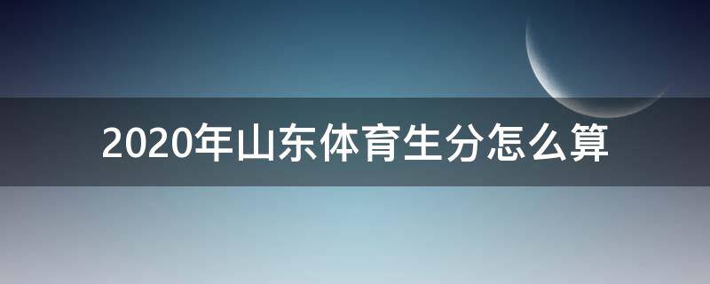 2020年山东体育生分怎么算（2020年山东体育生高考分数怎么算）