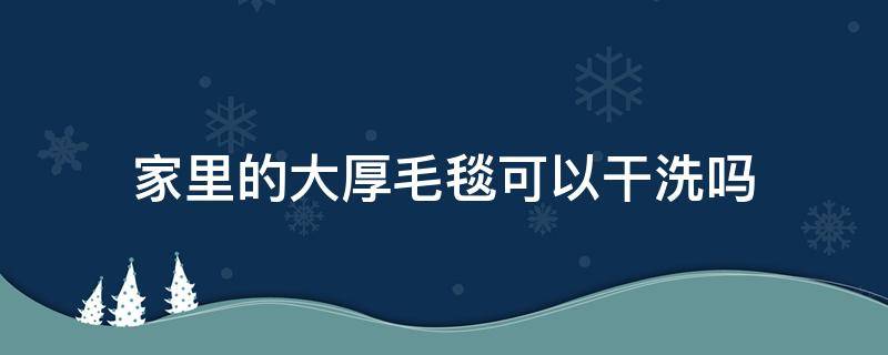 家里的大厚毛毯可以干洗吗 家里的大厚毛毯可以机洗吗