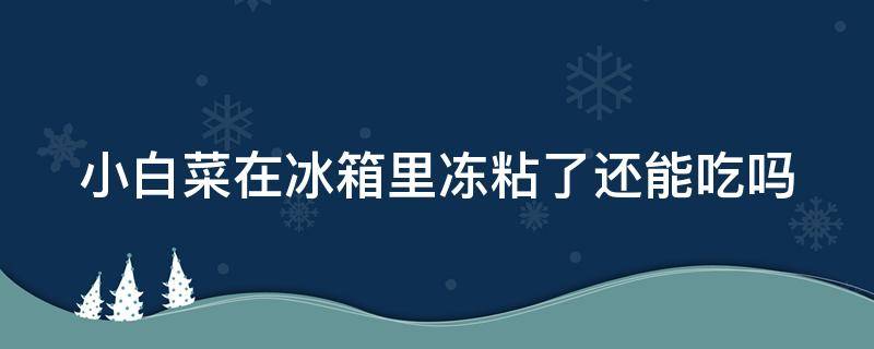 小白菜在冰箱里冻粘了还能吃吗 小白菜在冰箱里冻粘了还能吃吗为什么