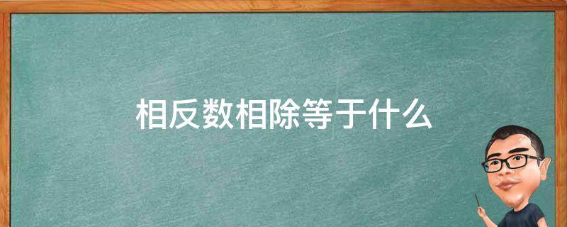 相反数相除等于什么（相反数相除等于多少）