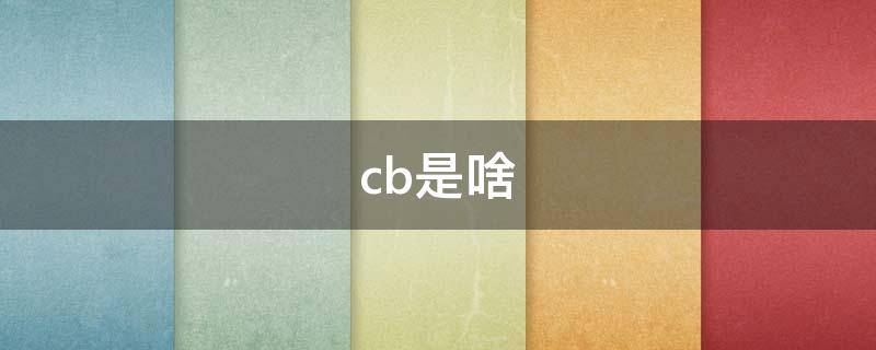 cb是啥（cb是啥意思网络用语）