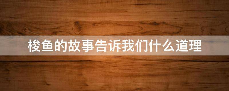 梭鱼的故事告诉我们什么道理（梭鱼的寓言故事告诉我们什么道理）