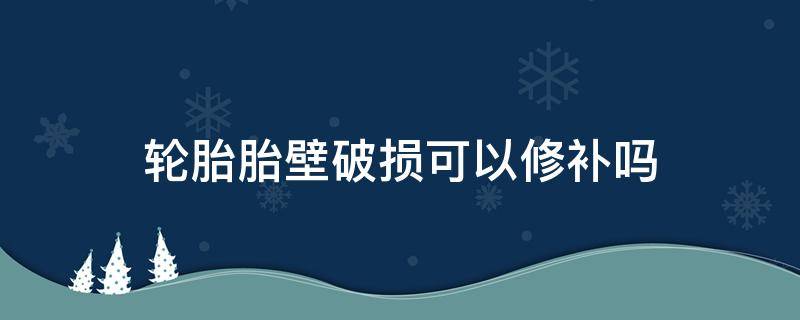 轮胎胎壁破损可以修补吗（轮胎侧壁裂纹可以修补吗）