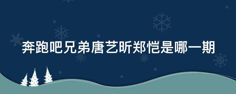 奔跑吧兄弟唐艺昕郑恺是哪一期 奔跑吧兄弟郑凯唐艺昕是哪一期