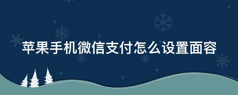 苹果手机微信支付怎么设置面容 苹果手机微信支付怎么设置面容密码