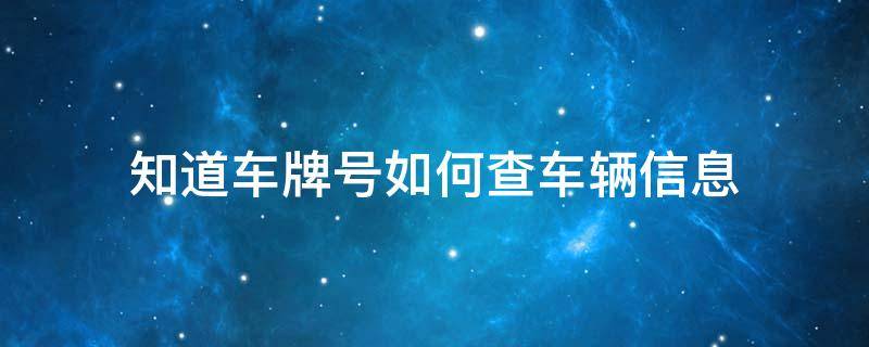 知道车牌号如何查车辆信息 知道车牌号怎样查车辆信息