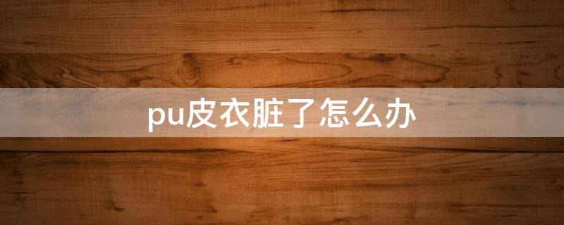 pu皮衣脏了怎么办（皮衣脏了咋办）