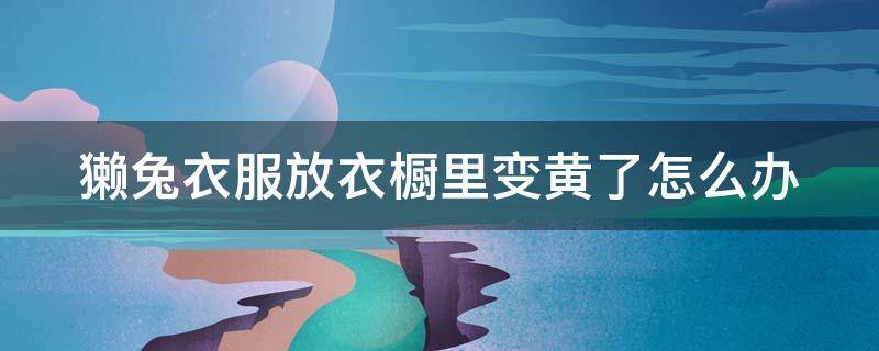 獭兔衣服放衣橱里变黄了怎么办（獭兔衣服放衣橱里变黄了怎么办视频）