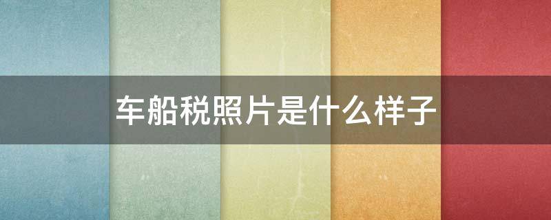 车船税照片是什么样子（车船税照片是什么样子的）