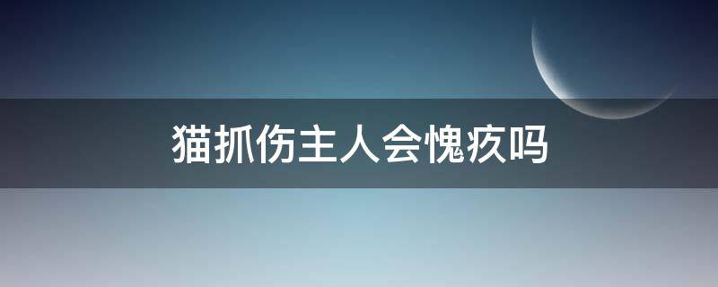 猫抓伤主人会愧疚吗（猫知道抓伤主人了吗）