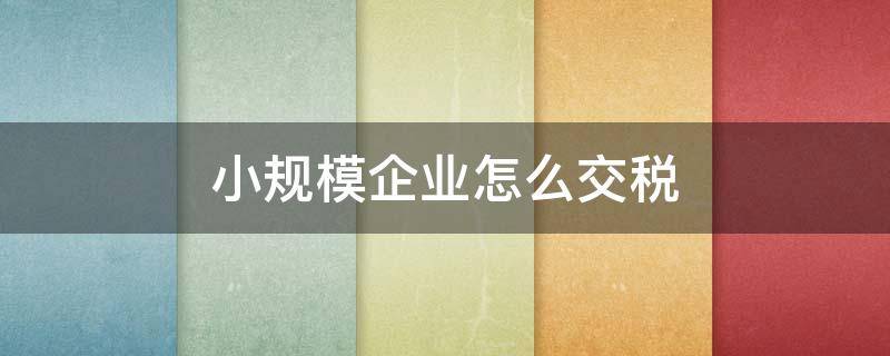 小规模企业怎么交税 小规模公司如何纳税