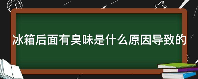 冰箱后面有臭味是什么原因导致的（冰箱后面有臭味是什么原因导致的呢）