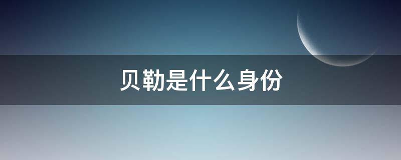 贝勒是什么身份（贝勒是什么人）
