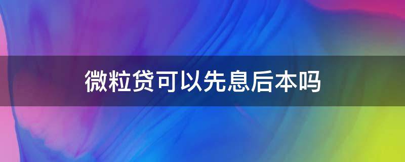微粒贷可以先息后本吗（微粒贷有没有先息后本还款的）
