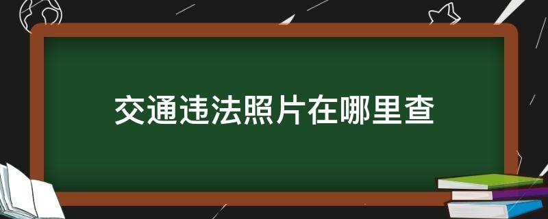 交通违法照片在哪里查 哪里可以查交通违法照片
