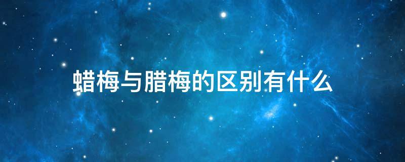 蜡梅与腊梅的区别有什么（腊梅还是蜡梅）