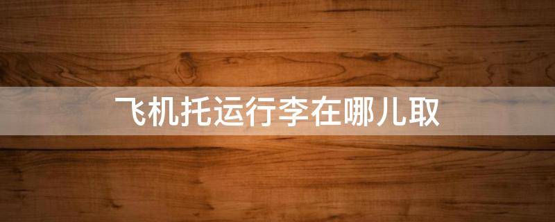 飞机托运行李在哪儿取（飞机行李在哪取）