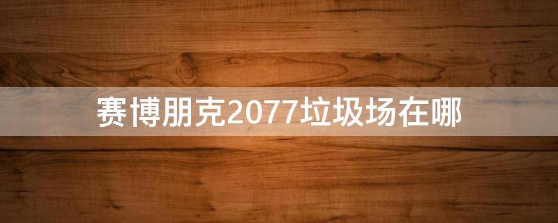 赛博朋克2077垃圾场在哪（赛博朋克2077死亡垃圾场）