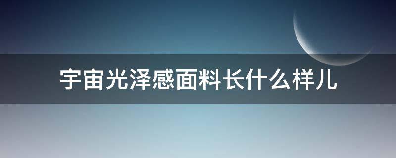宇宙光泽感面料长什么样儿（光泽面料是什么面料）