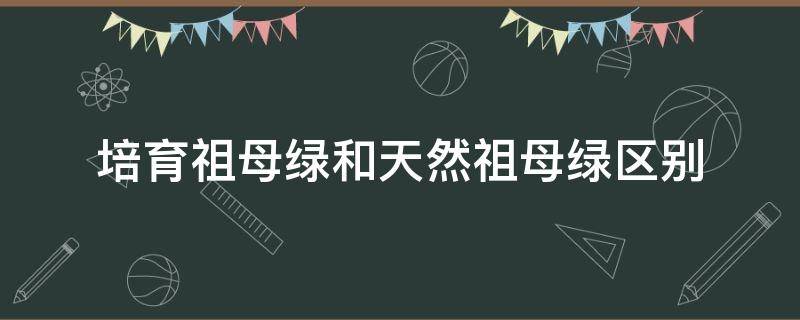 培育祖母绿和天然祖母绿区别（培育祖母绿和天然祖母绿区别价格）