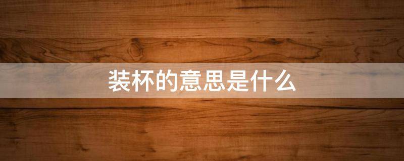 装杯的意思是什么（什么叫装备）