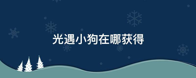 光遇小狗在哪获得（光遇怎么获得狗头）