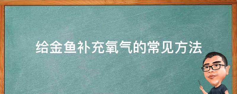 给金鱼补充氧气的常见方法（养金鱼怎么给氧气）